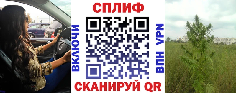 МЕФ Новопавловск